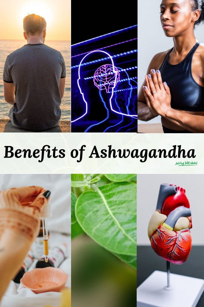 Benefits of Ashwagandha (Pinterest)